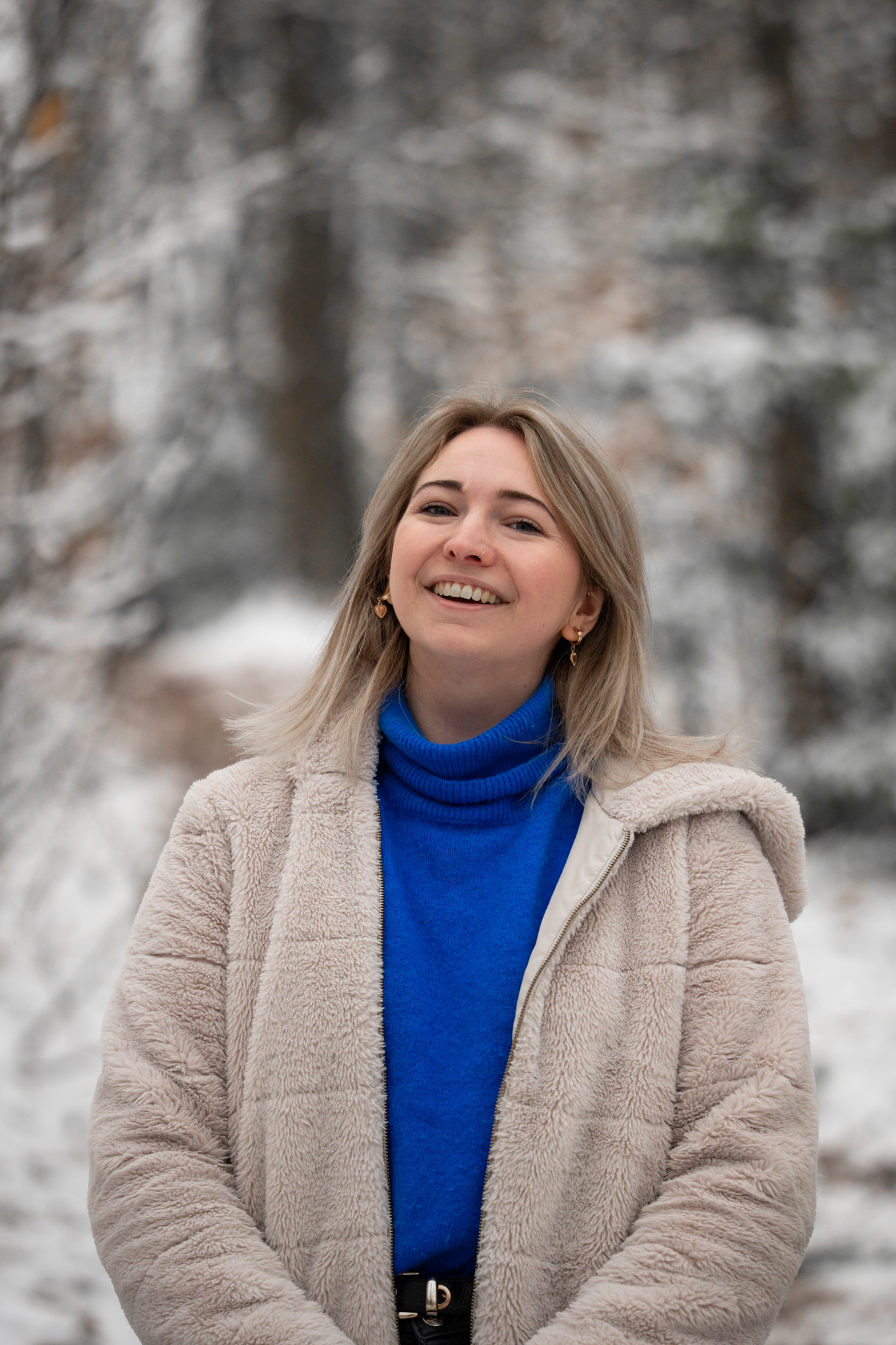 Picos de Europa photo 1