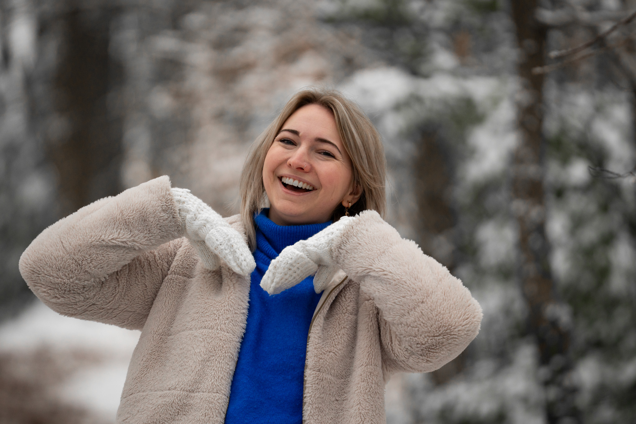 Picos de Europa photo 2
