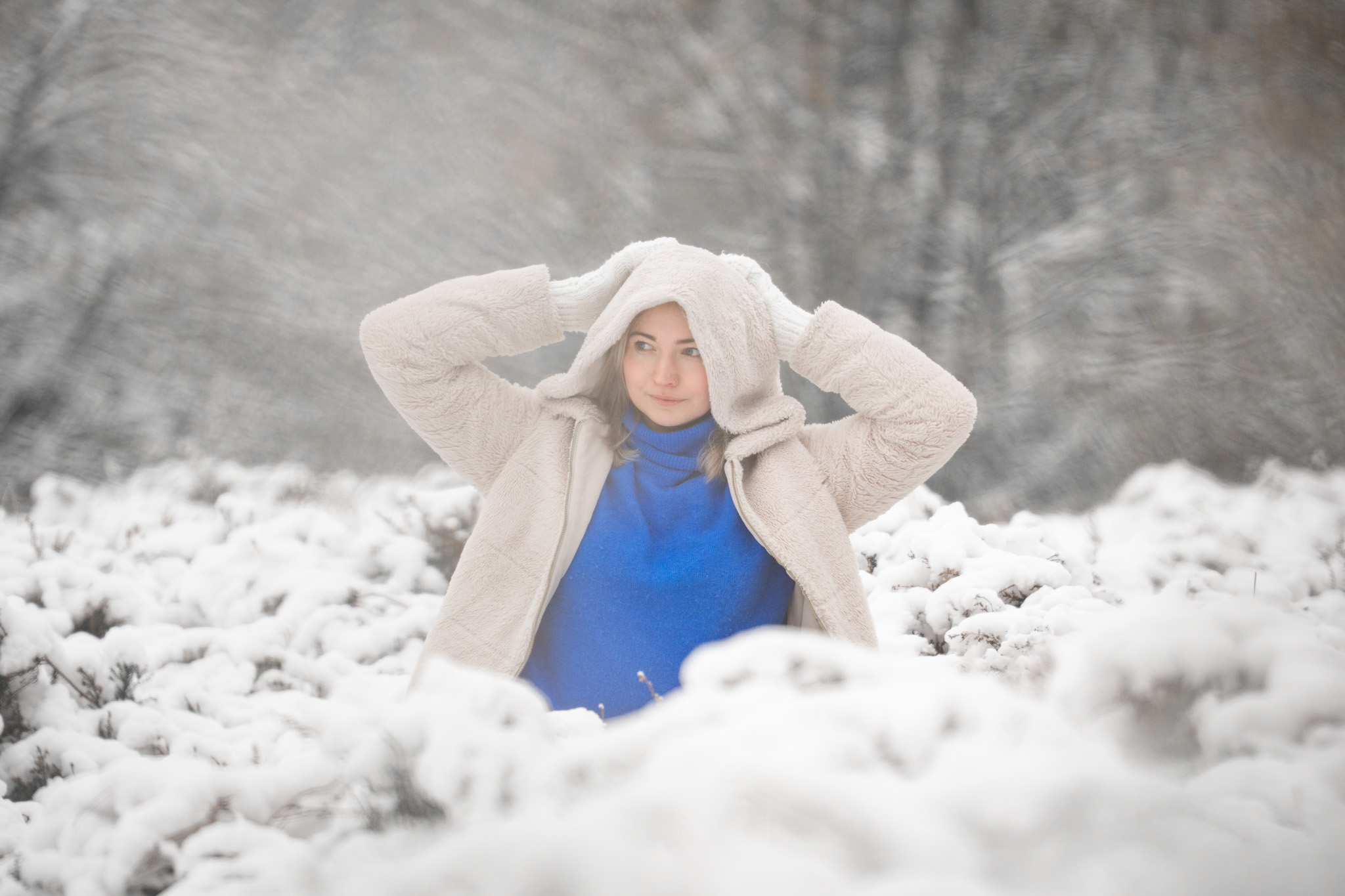 Picos de Europa photo 11