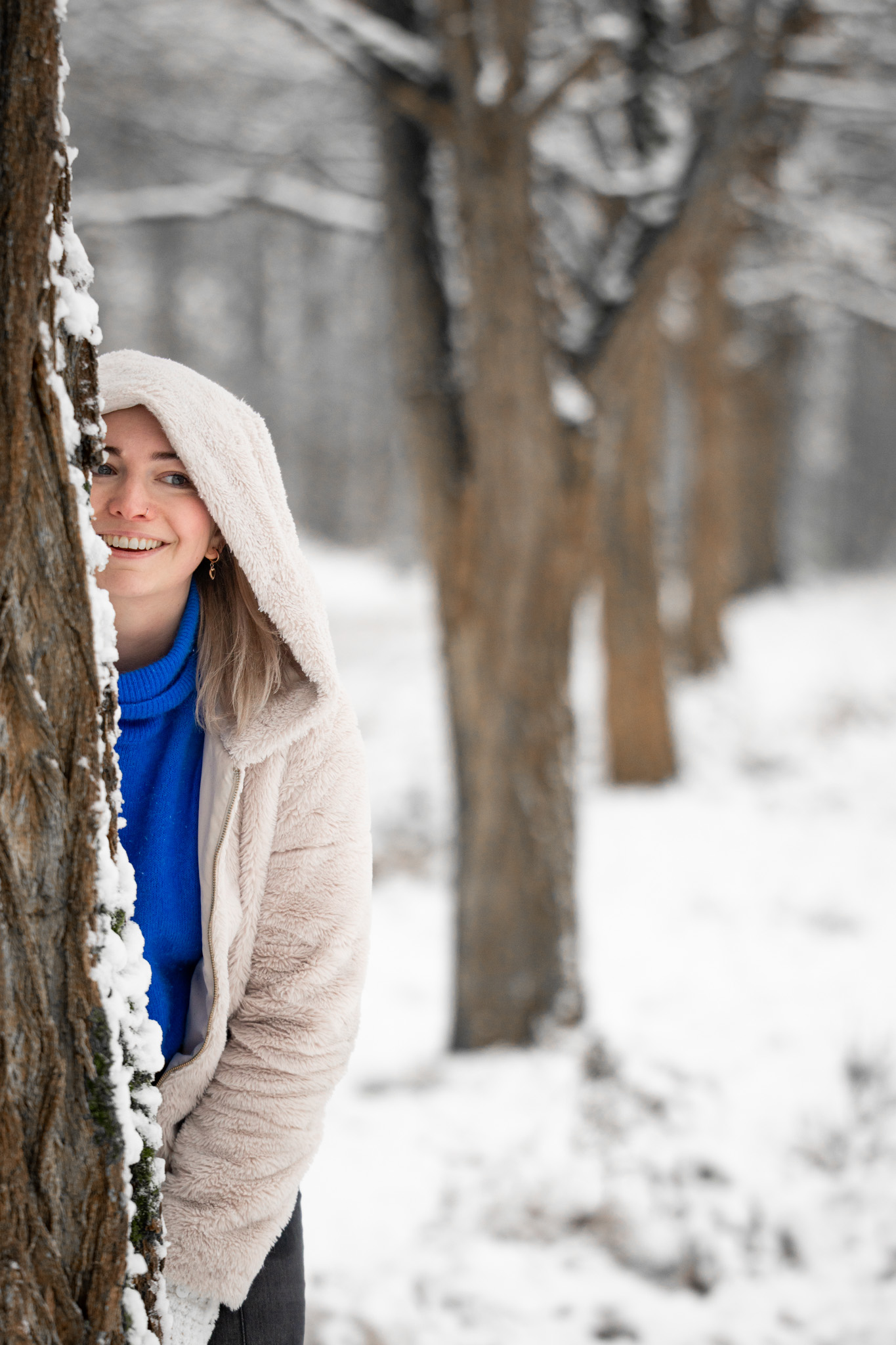 Picos de Europa photo 14