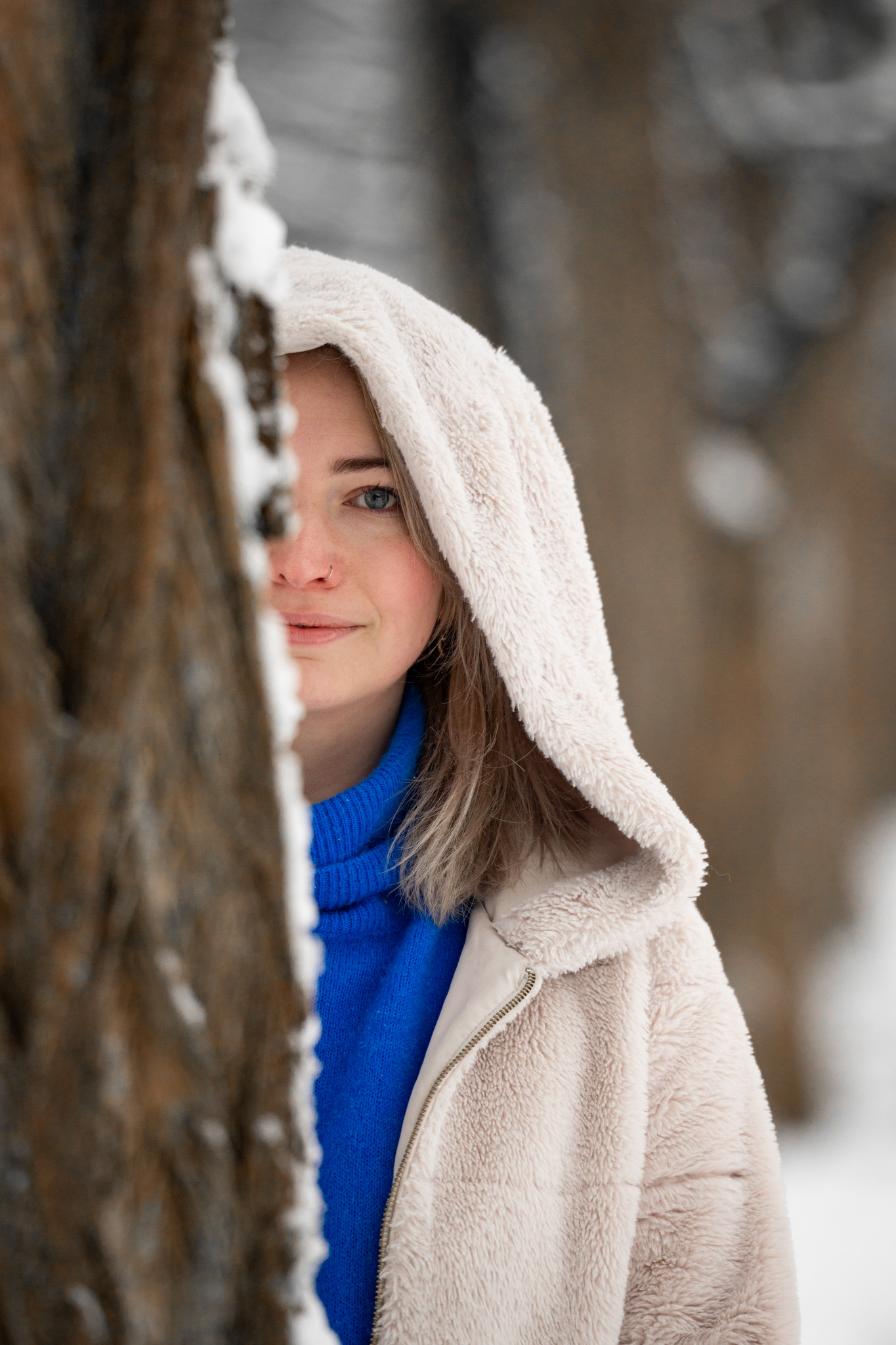 Picos de Europa photo 15