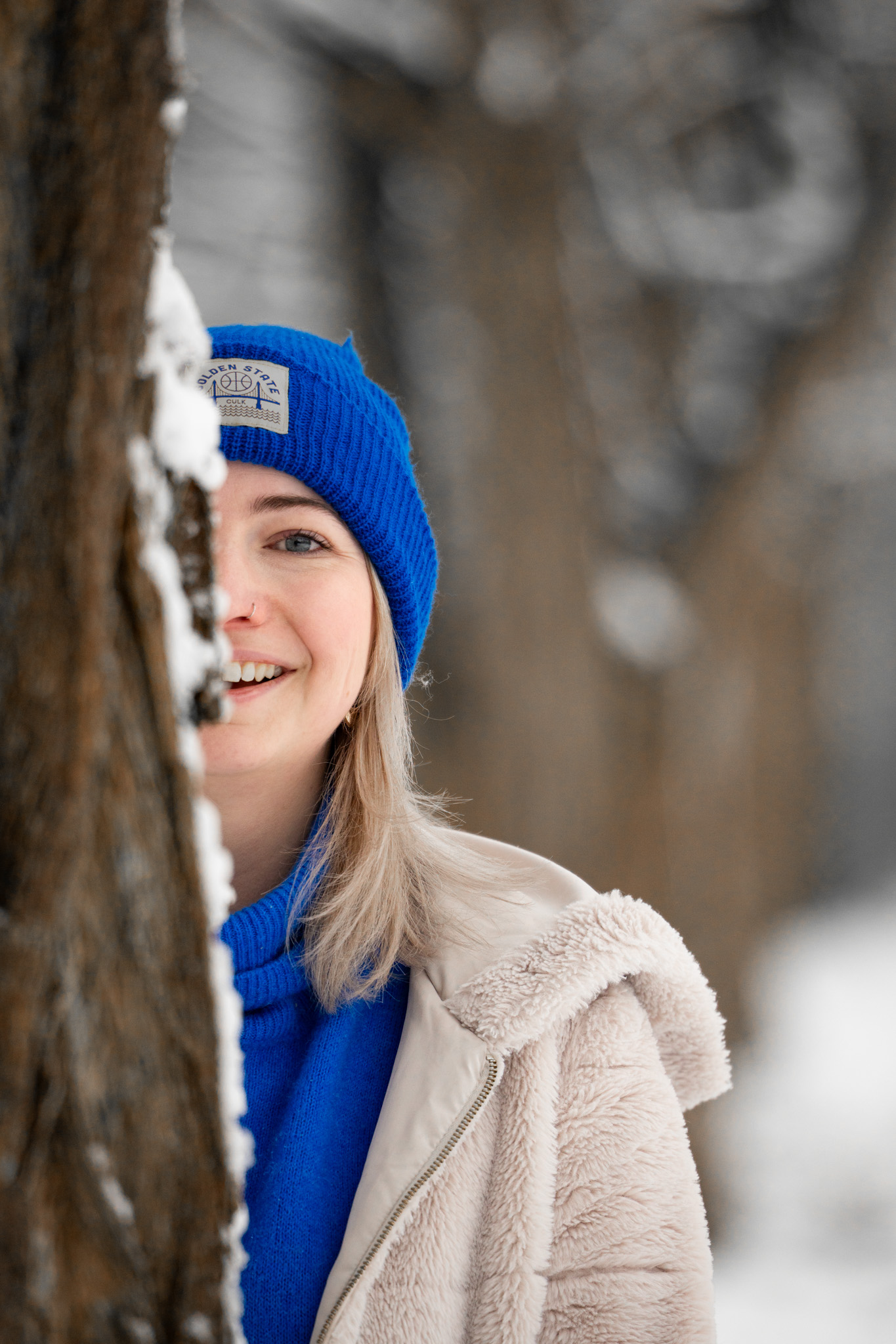 Picos de Europa photo 16