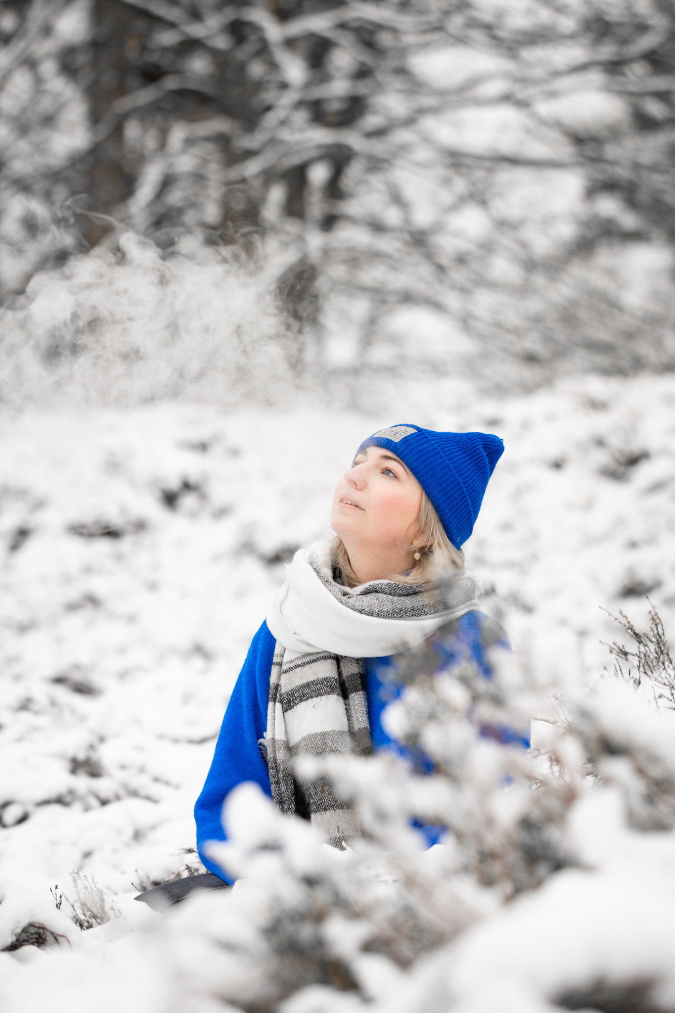 Picos de Europa photo 19