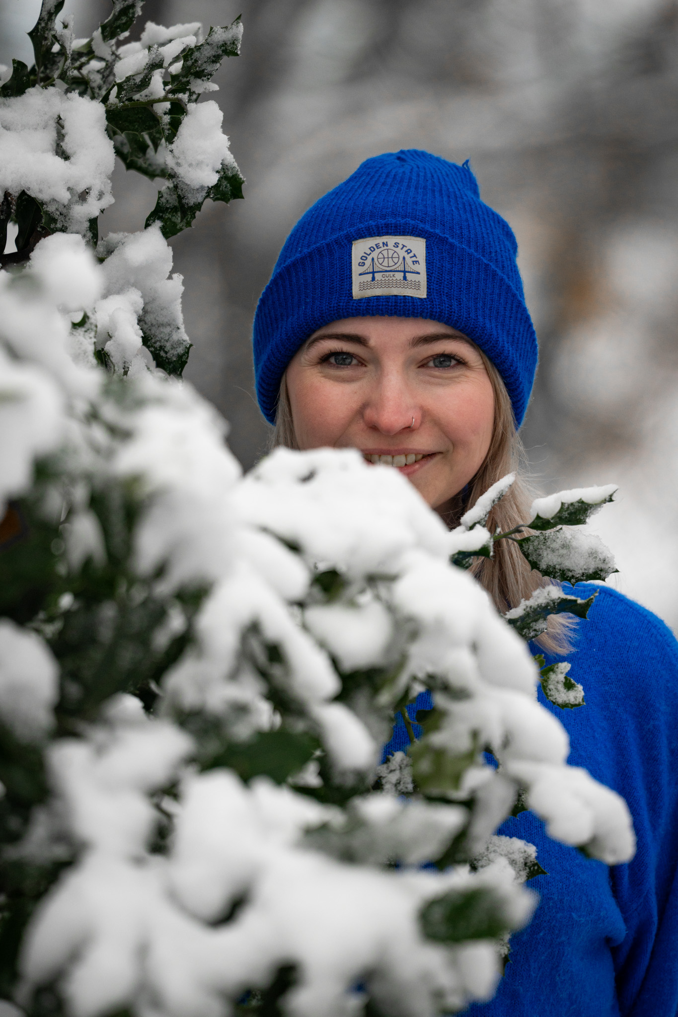 Picos de Europa photo 29