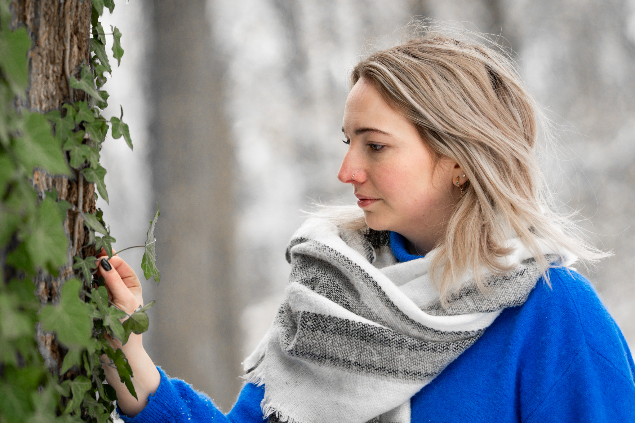 Picos de Europa photo 30