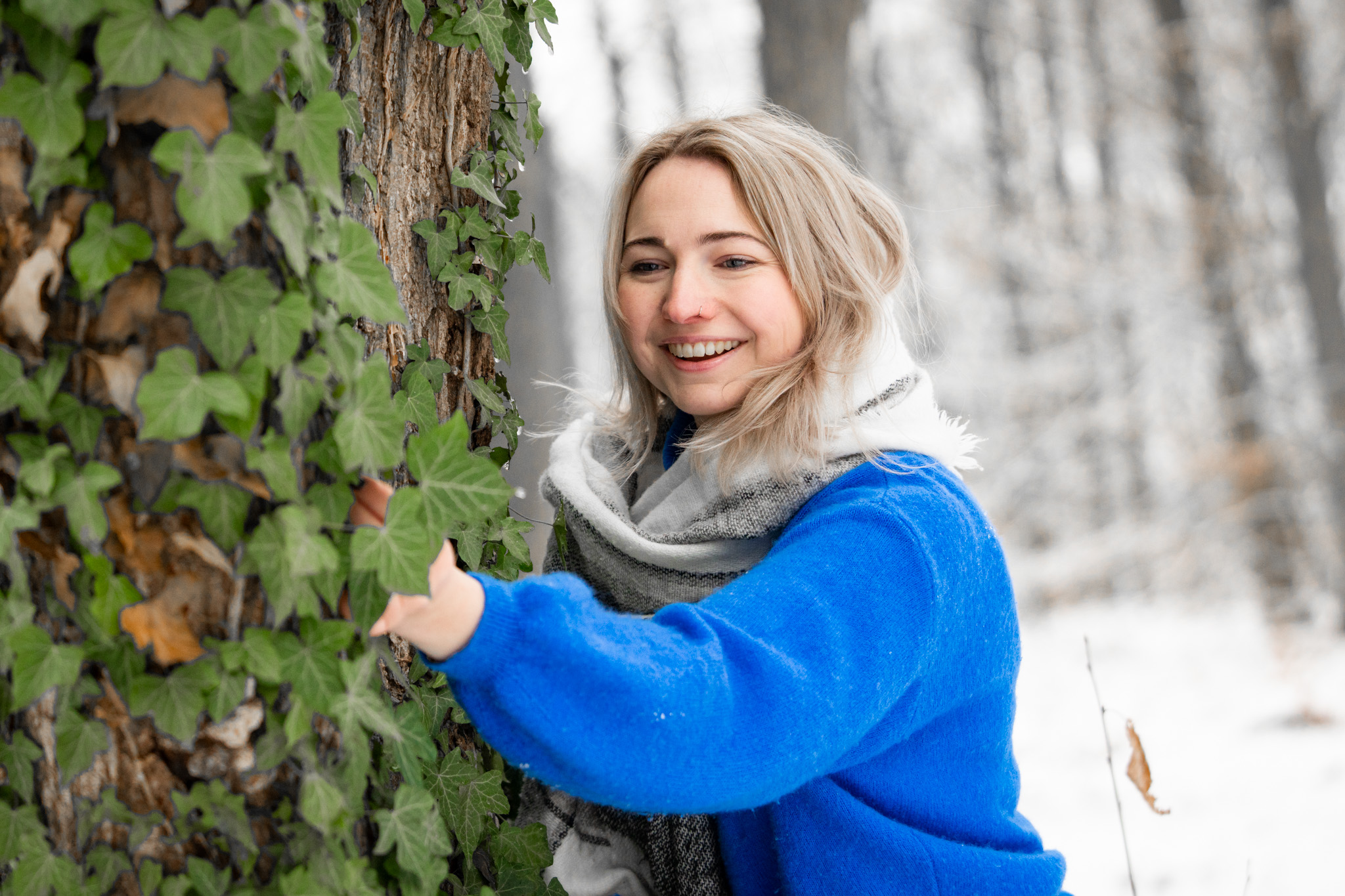 Picos de Europa photo 31