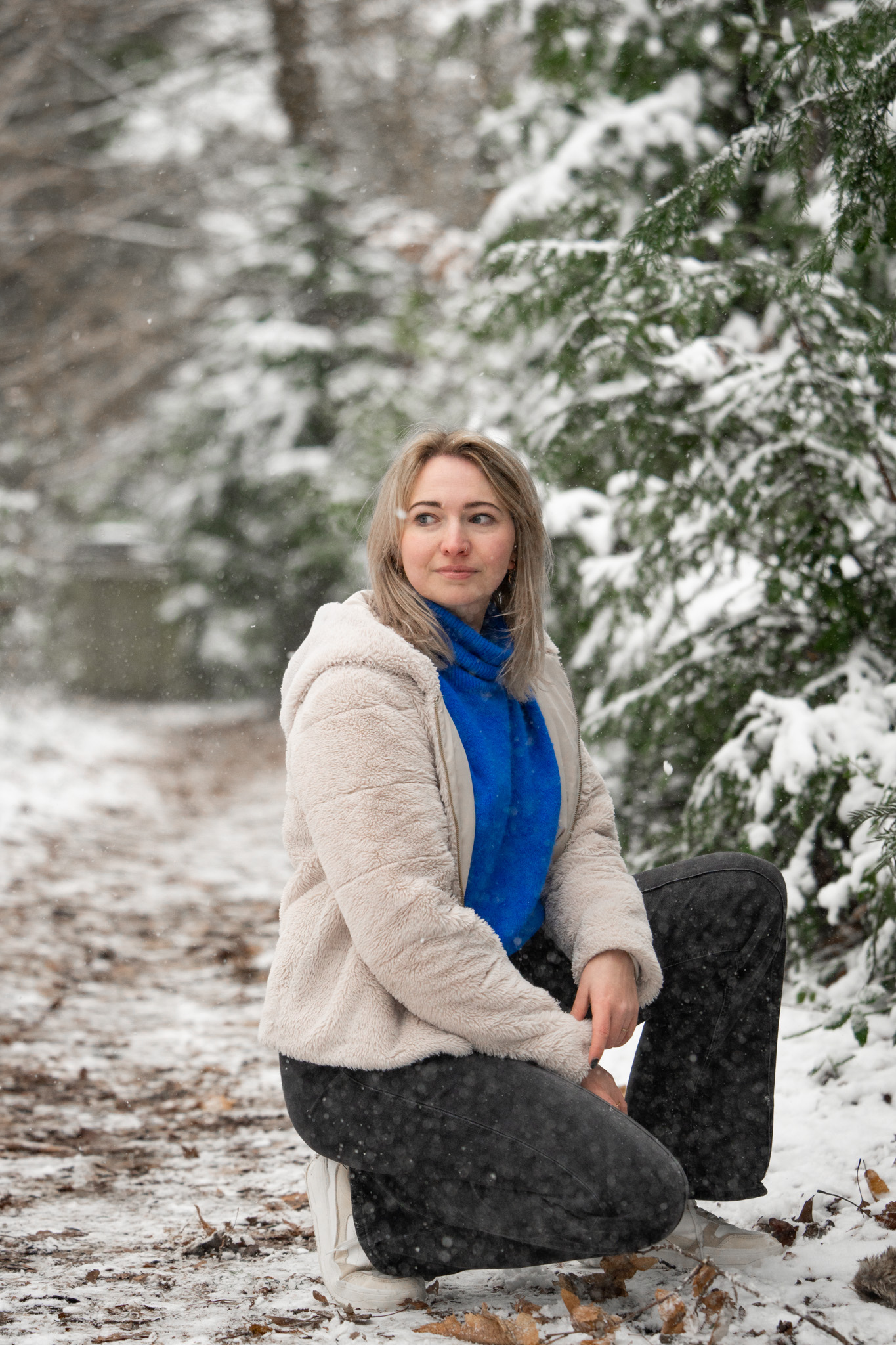 Picos de Europa photo 39