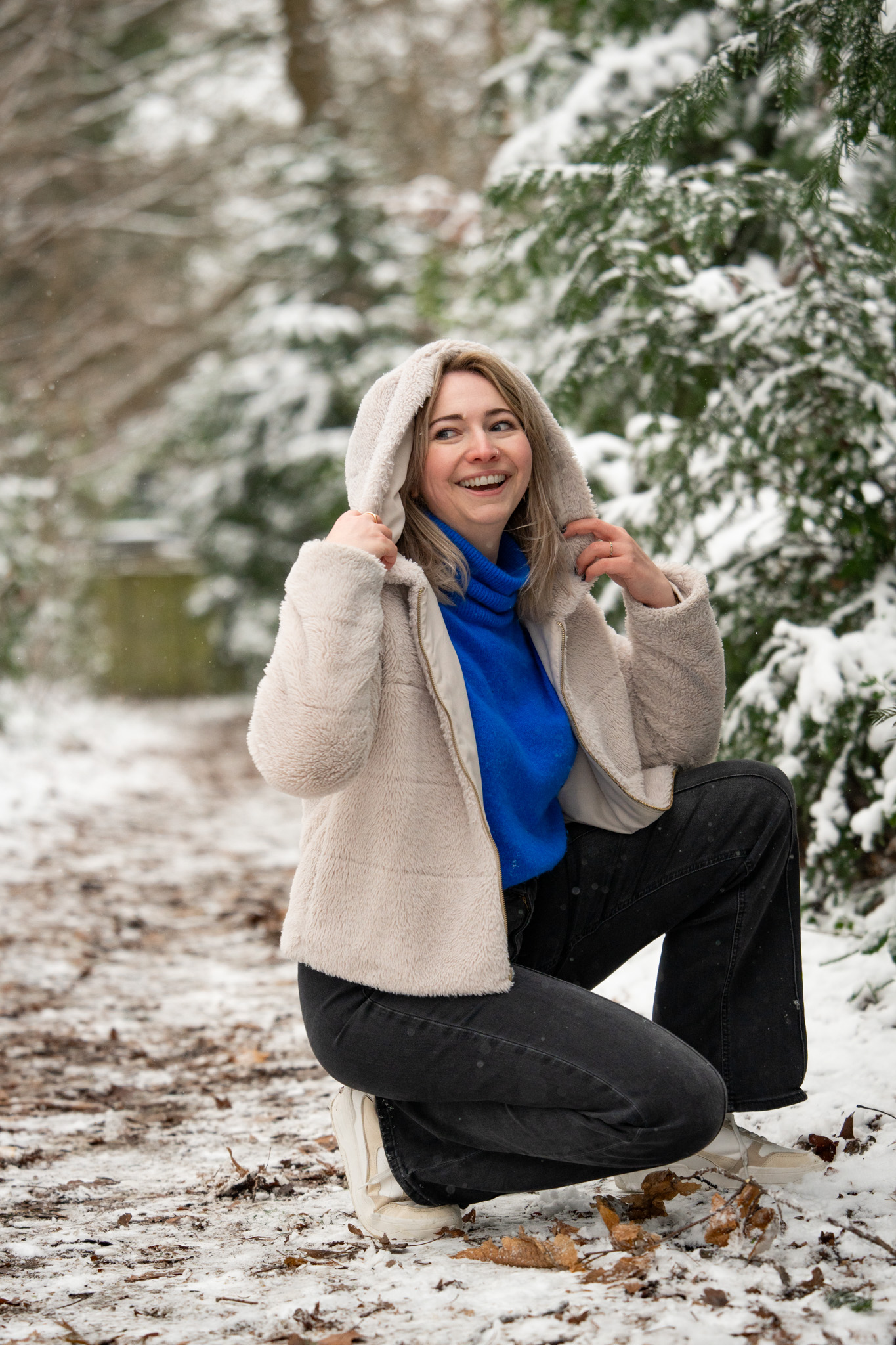 Picos de Europa photo 40
